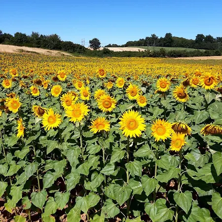 Wisteria Casa vacanze *
