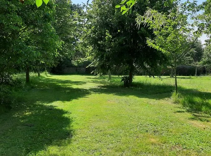Wisteria * Les Adjots